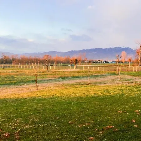 Bed & Breakfast Azienda Agrituristica Ai Prai