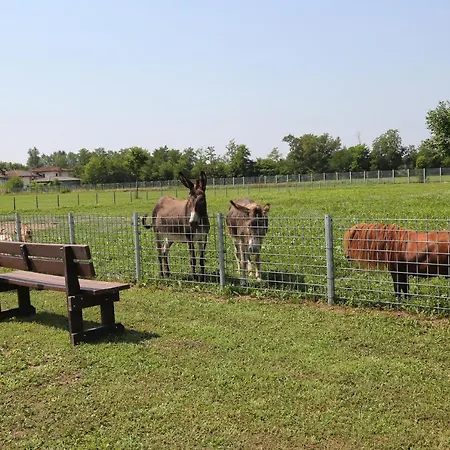 Azienda Agrituristica Ai Prai Castello Di Godego